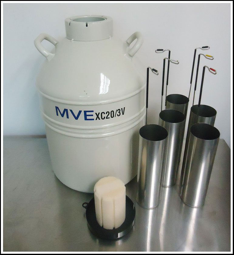 MVE XC液氮罐 MVE XC液氮罐